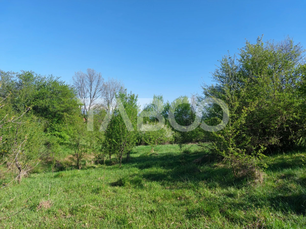 Teren 3445 mp intravilan front 26 m utilitati in zona in Cisnadie - 1