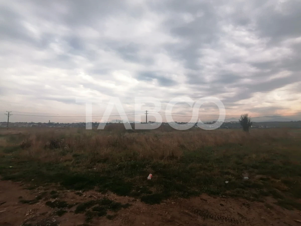 Teren intravilan de vanzare 3421 mp cu deschidere de 180 m Turnisor - 2