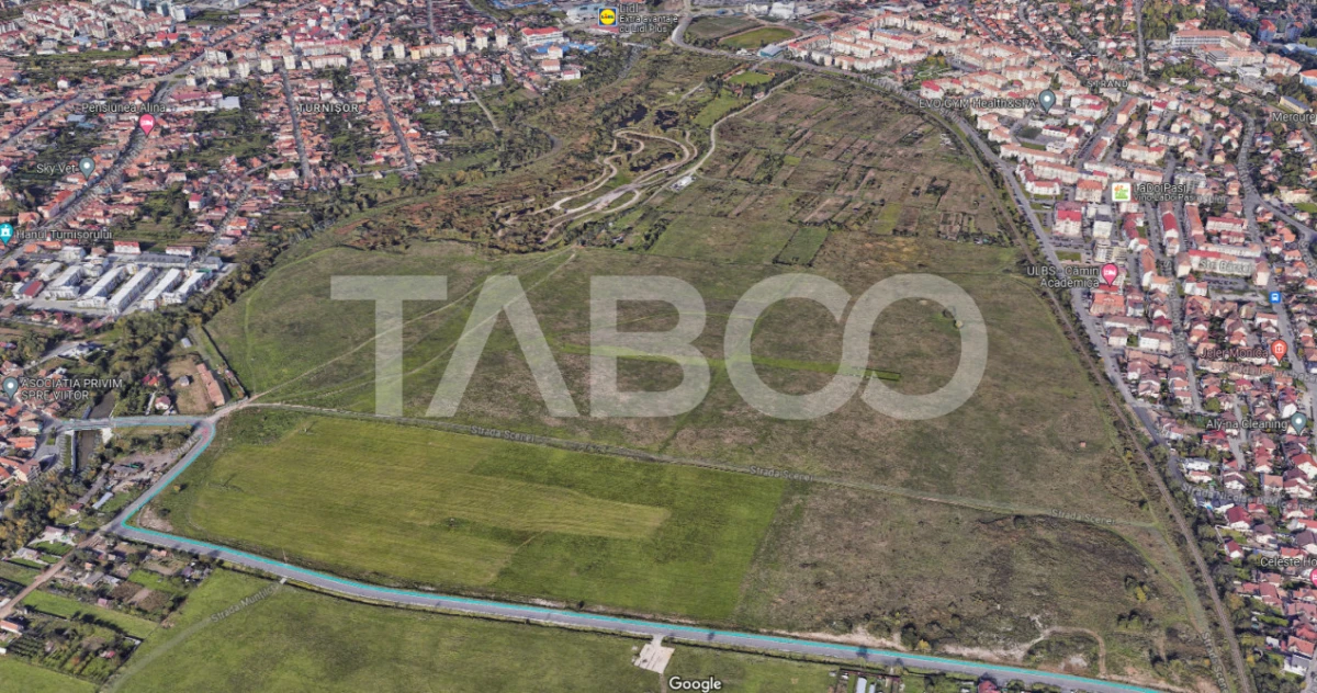 Teren intravilan de vanzare 3421 mp cu deschidere de 180 m Turnisor - 1