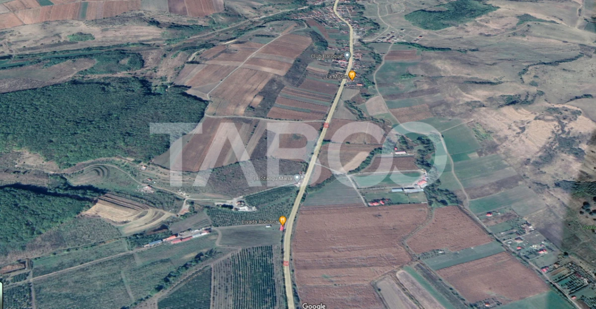 Teren extravilan de 4991 mp la strada principala in Sura Mare - 1