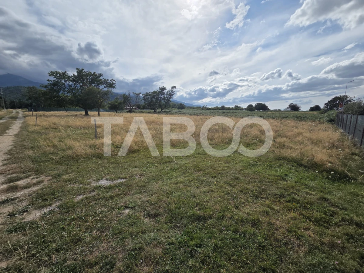 Teren extravilan de vanzare 2580 mp in Statiunea Sambata de Sus - 4