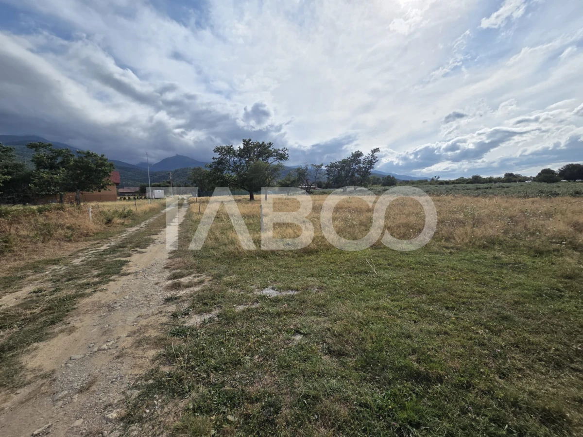 Teren extravilan de vanzare 2580 mp in Statiunea Sambata de Sus - 3