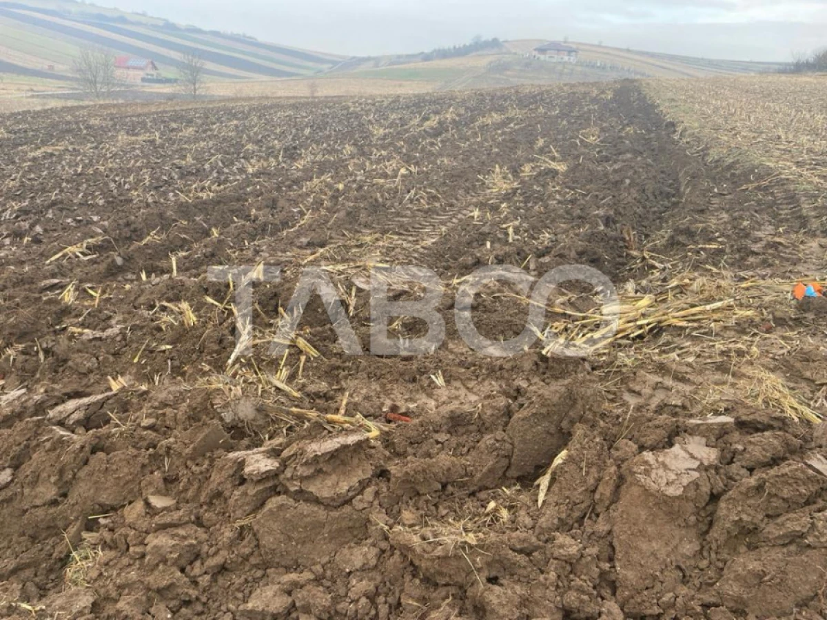 Teren intravilan 9300 mp de vanzare cu acces la utilitati Sura Mare - 3