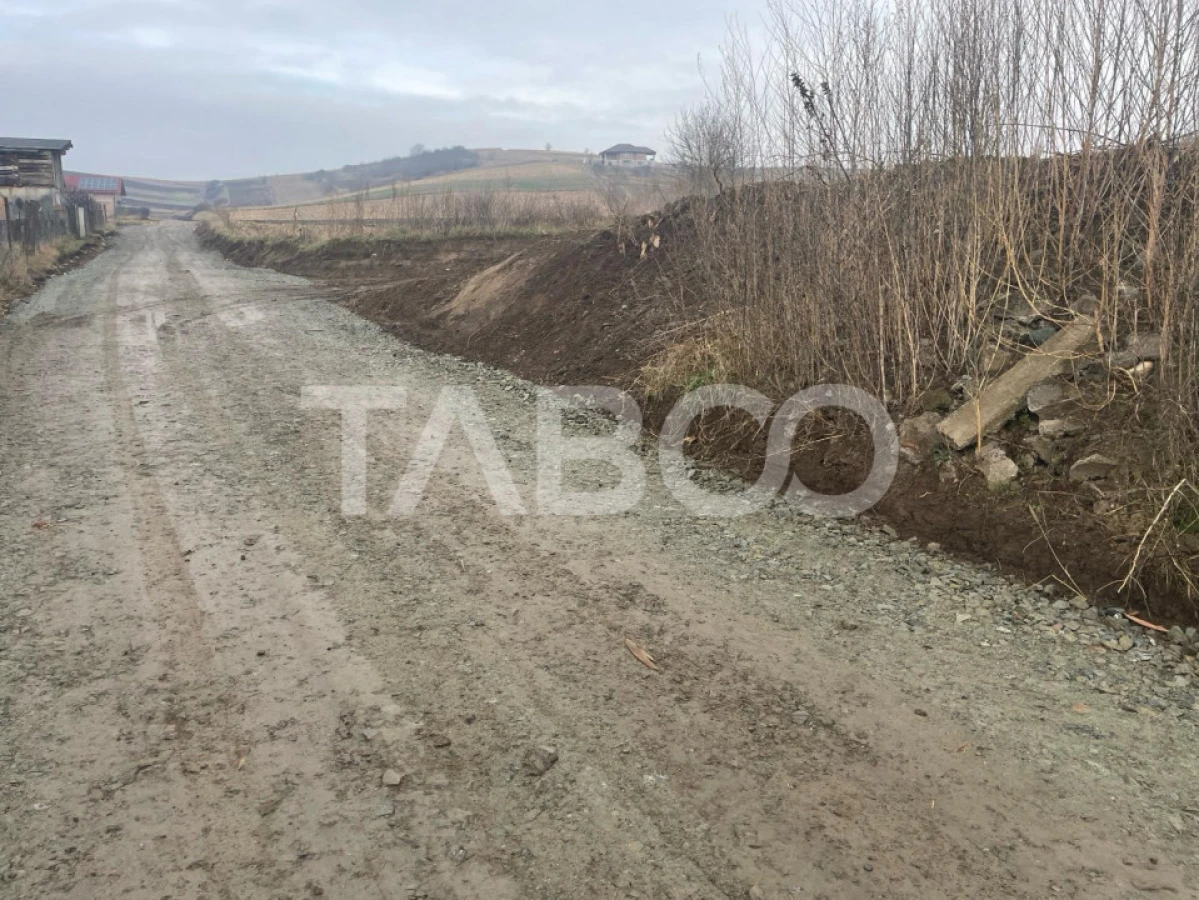 Teren intravilan 9300 mp de vanzare cu acces la utilitati Sura Mare - 2