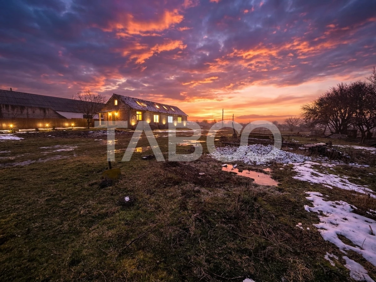 Teren de vanzare 8380 mp cu anexa de 1538 mp in Mohu Sibiu - 2