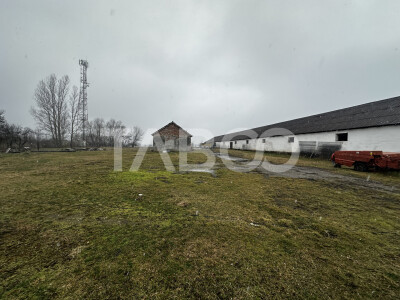 Teren de vanzare 8380 mp cu anexa de 1538 mp in Mohu Sibiu