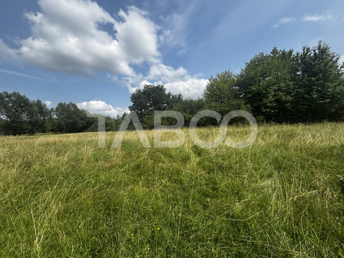 Teren intravilan 3100mp parcelat in 1000mp si 2100mp Cisnadie - 3