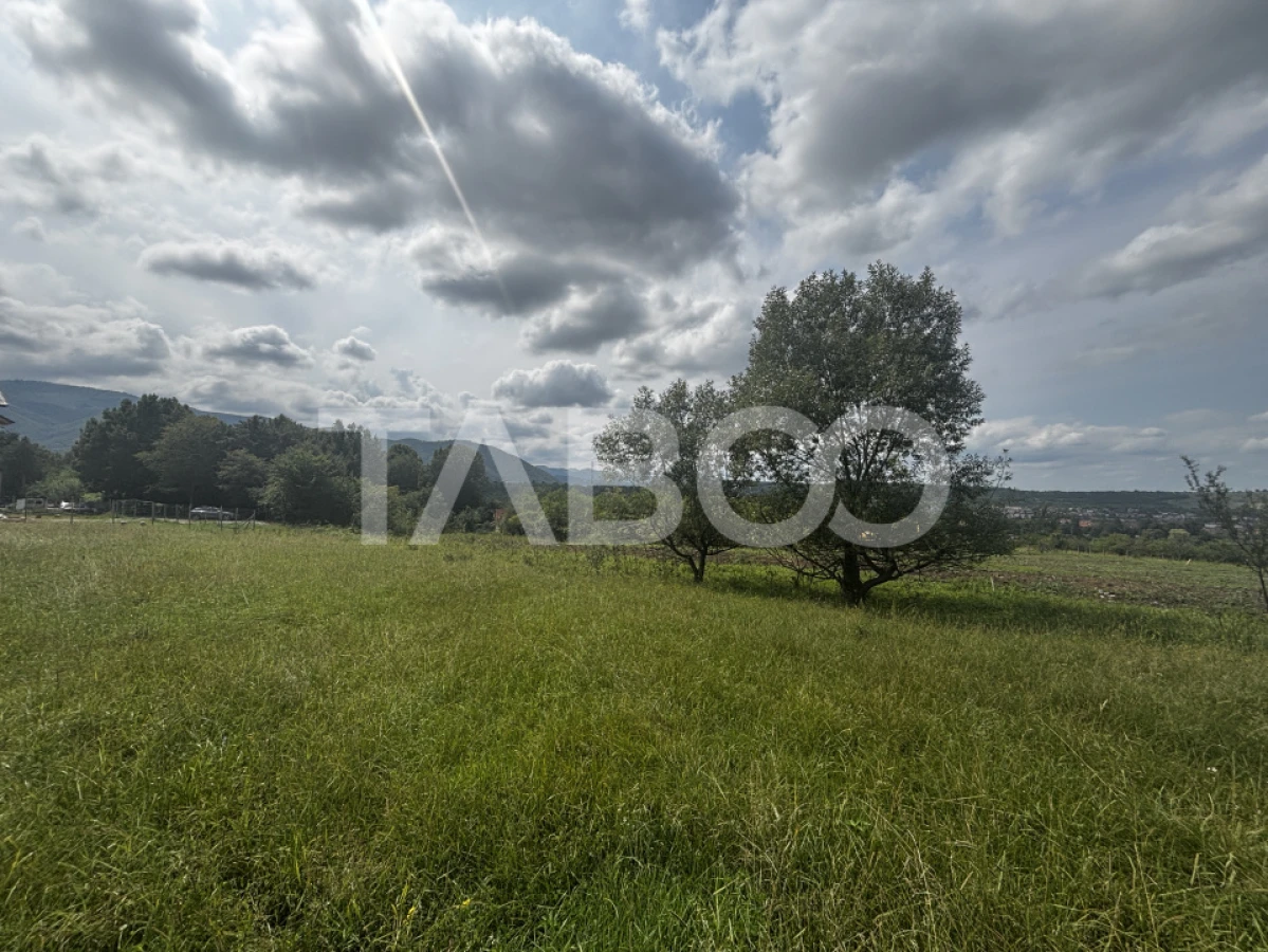 Teren intravilan 3100mp parcelat in 1000mp si 2100mp Cisnadie - 2