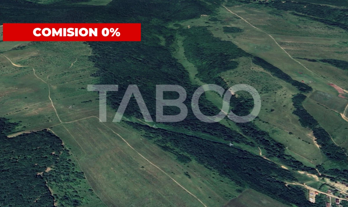 Padure de vanzare 127.000mp langa Mag in judetul Sibiu - 2
