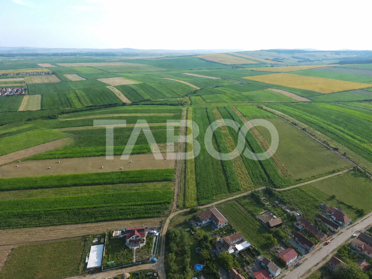 Teren intravilan 10.055mp PUZ aprobat 17 case individuale Sura Mica - 1