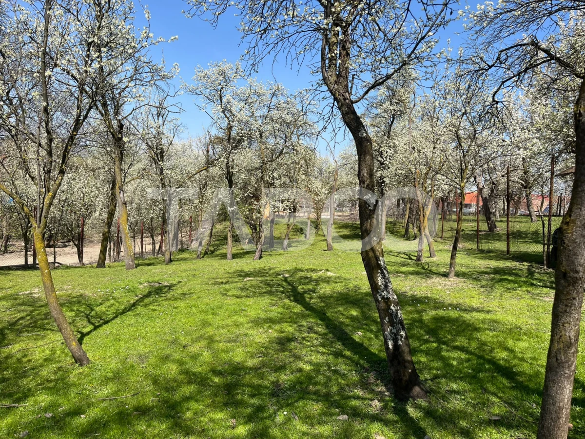 Teren intravilan imprejmuit 789mp UTILITATI URBANISM Poplaca - 5