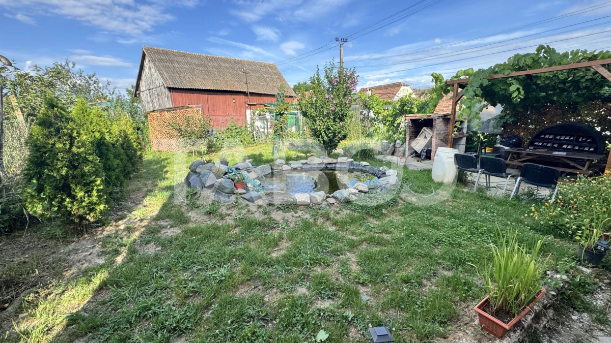 Casa individuala de vanzare cu 3 camere 500 mp teren Cornatel Sibiu - 6