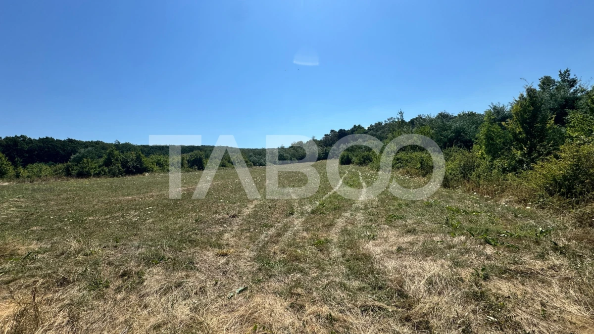 Teren extravilan 2700 mp oportunitate investitie Calea Poplacii Sibiu - 3
