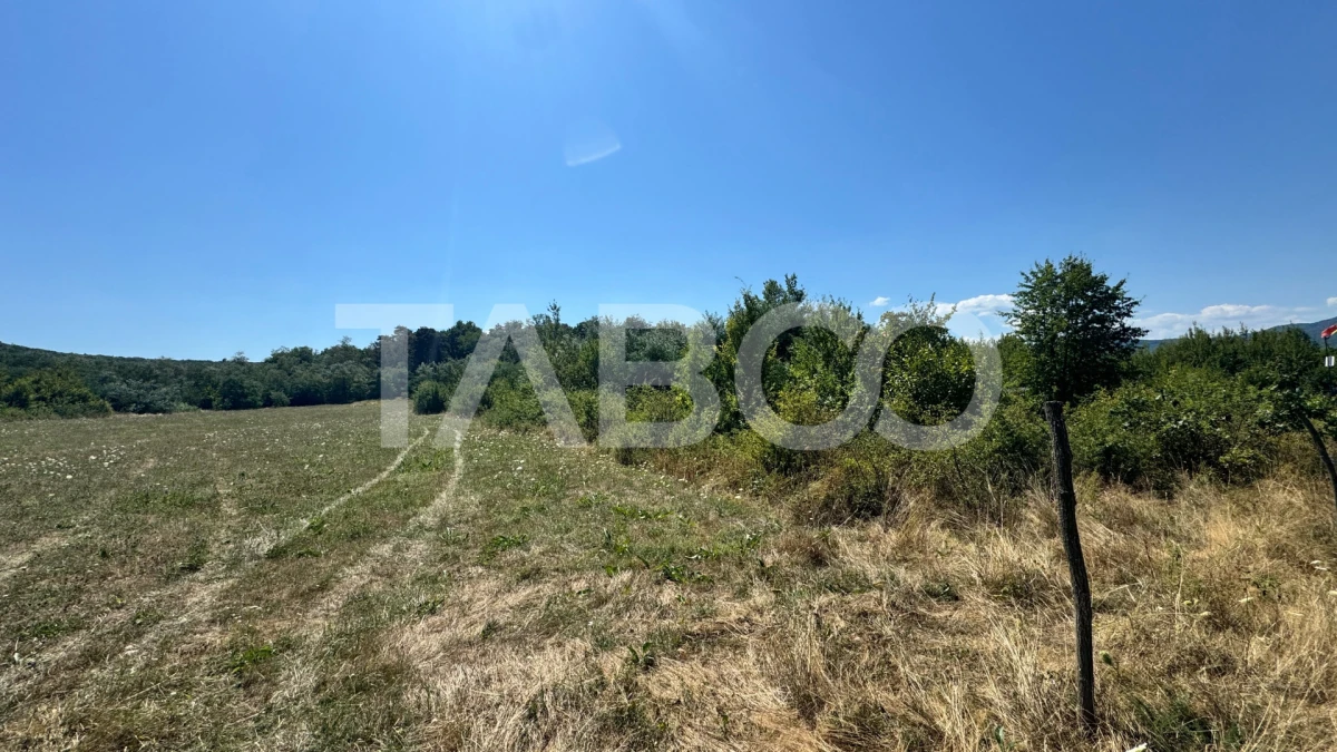 Teren extravilan 2700 mp oportunitate investitie Calea Poplacii Sibiu - 2