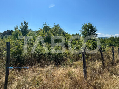 Teren extravilan 2700 mp oportunitate investitie Calea Poplacii Sibiu