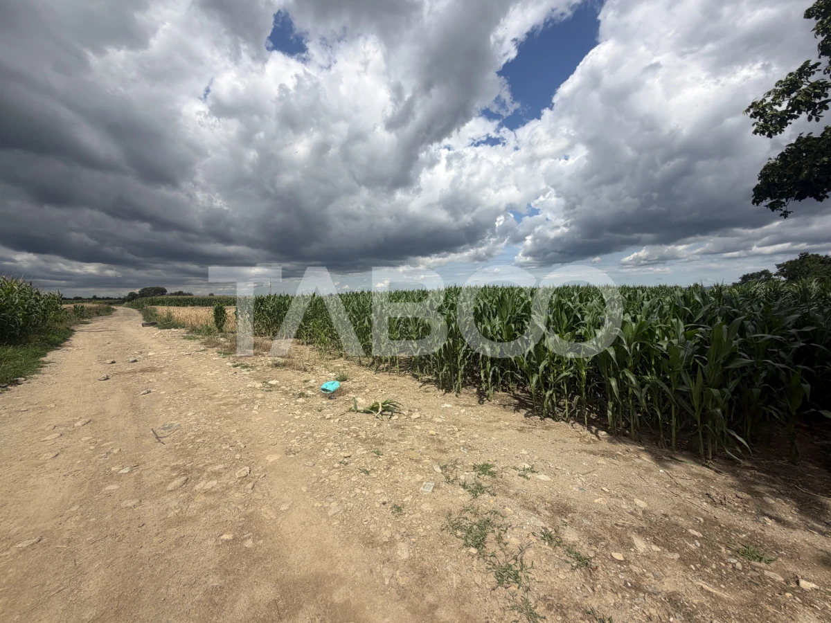 Comision 0% Teren intravilan 3934 mp toate utilitatile zona Dejani - 3