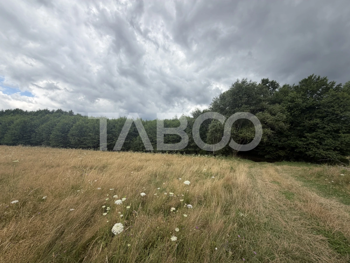 Teren extravilan 3650 mp latime 28 ml pretabil pentru cabana turistica - 5