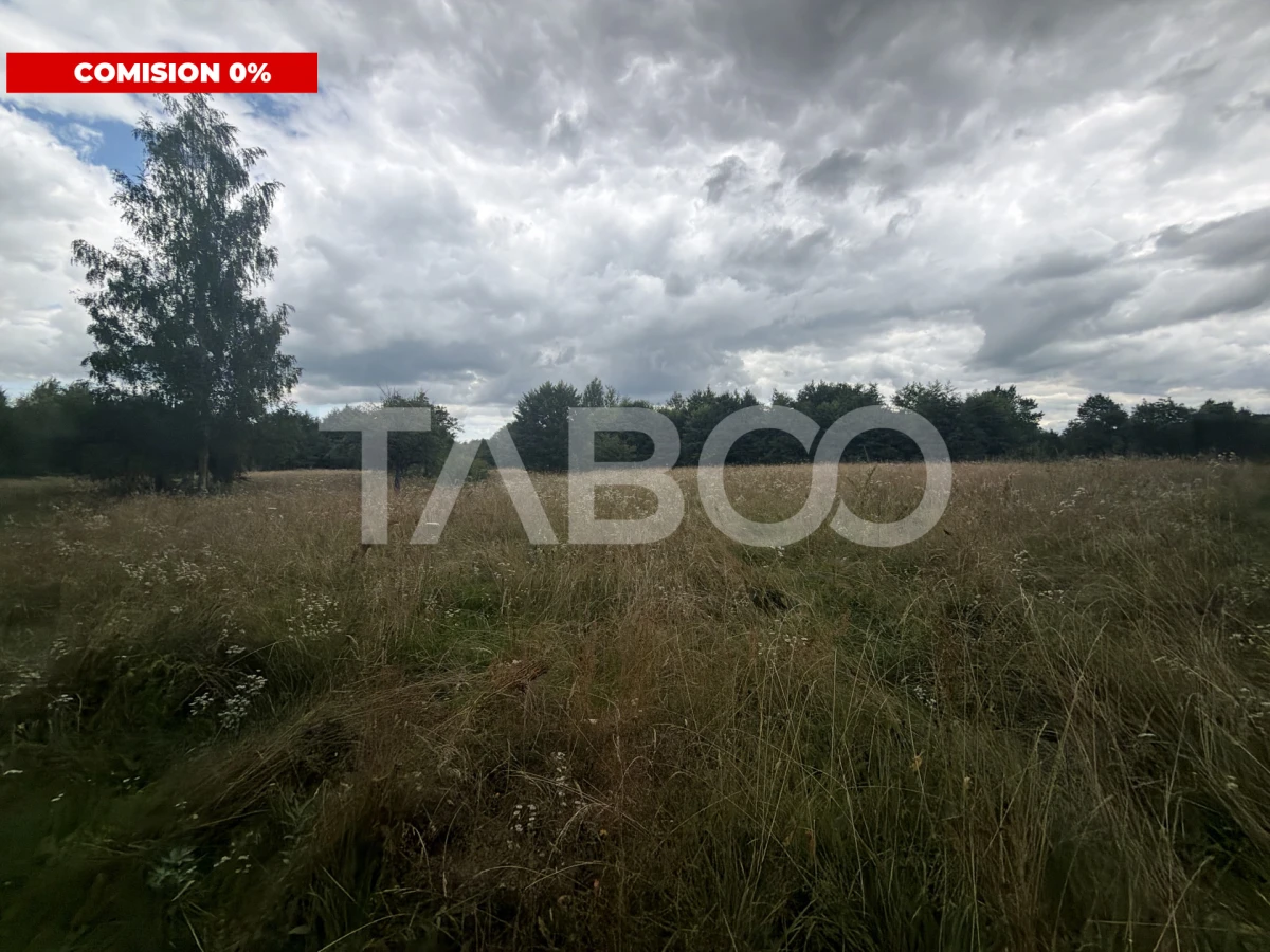 Teren extravilan cu utilitat 6000 mp langa Rau pe Valea Dejaniului - 1