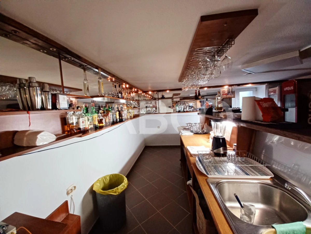 Spatiu comercial in Calea Dumbravii curte si terasa - pretabil Horeca - 4