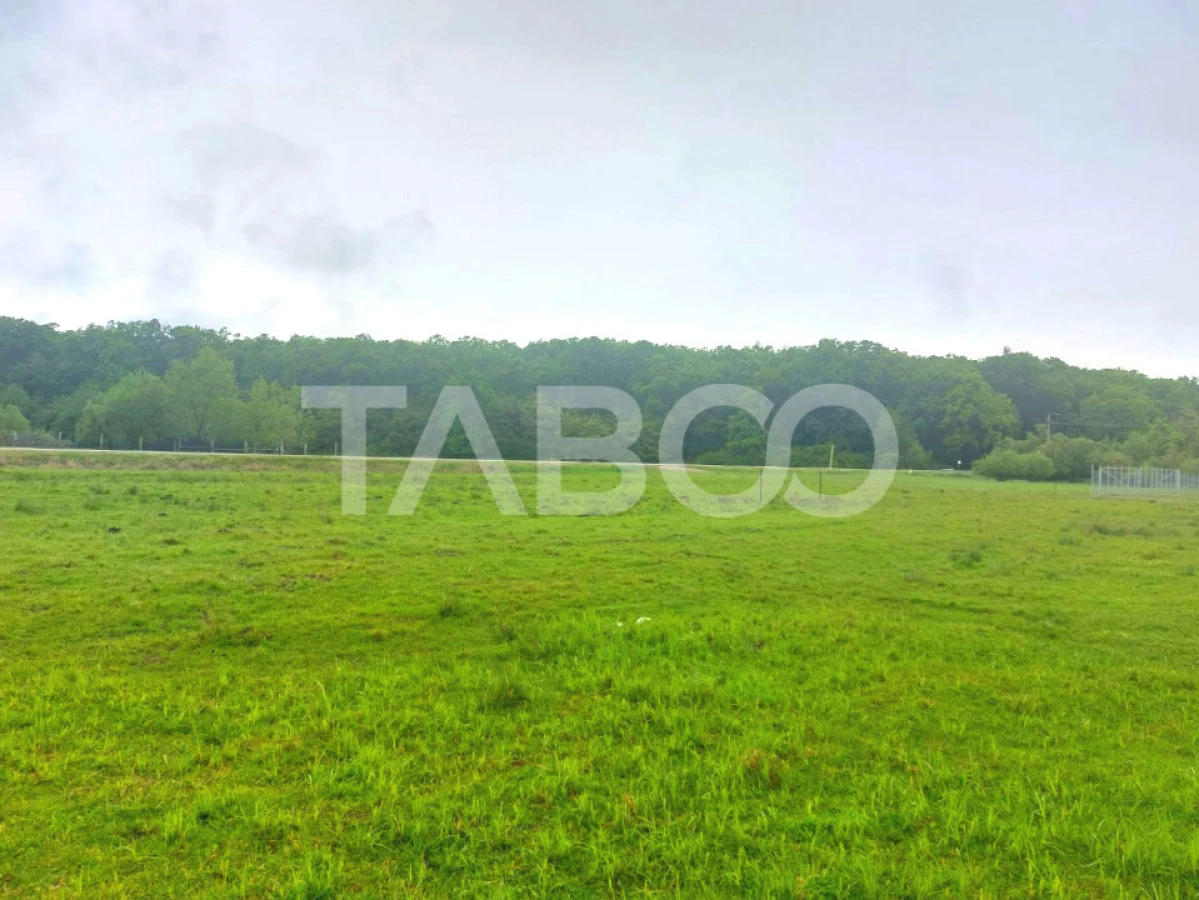 Teren intravilan 712 mp PUZ APROBAT 23 m front stradal Sibiu - 4