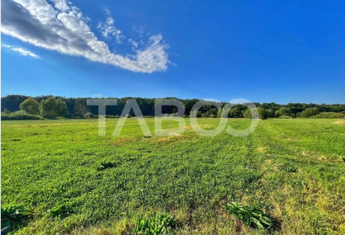 Teren intravilan 712 mp PUZ APROBAT 23 m front stradal Sibiu - 3