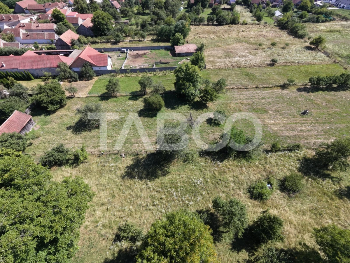 Teren intravilan 2000 mp si extravilan 1150 mp de vanzare in Vad - 6