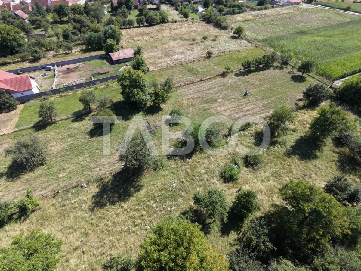 Teren intravilan 2000 mp si extravilan 1150 mp de vanzare in Vad - 5