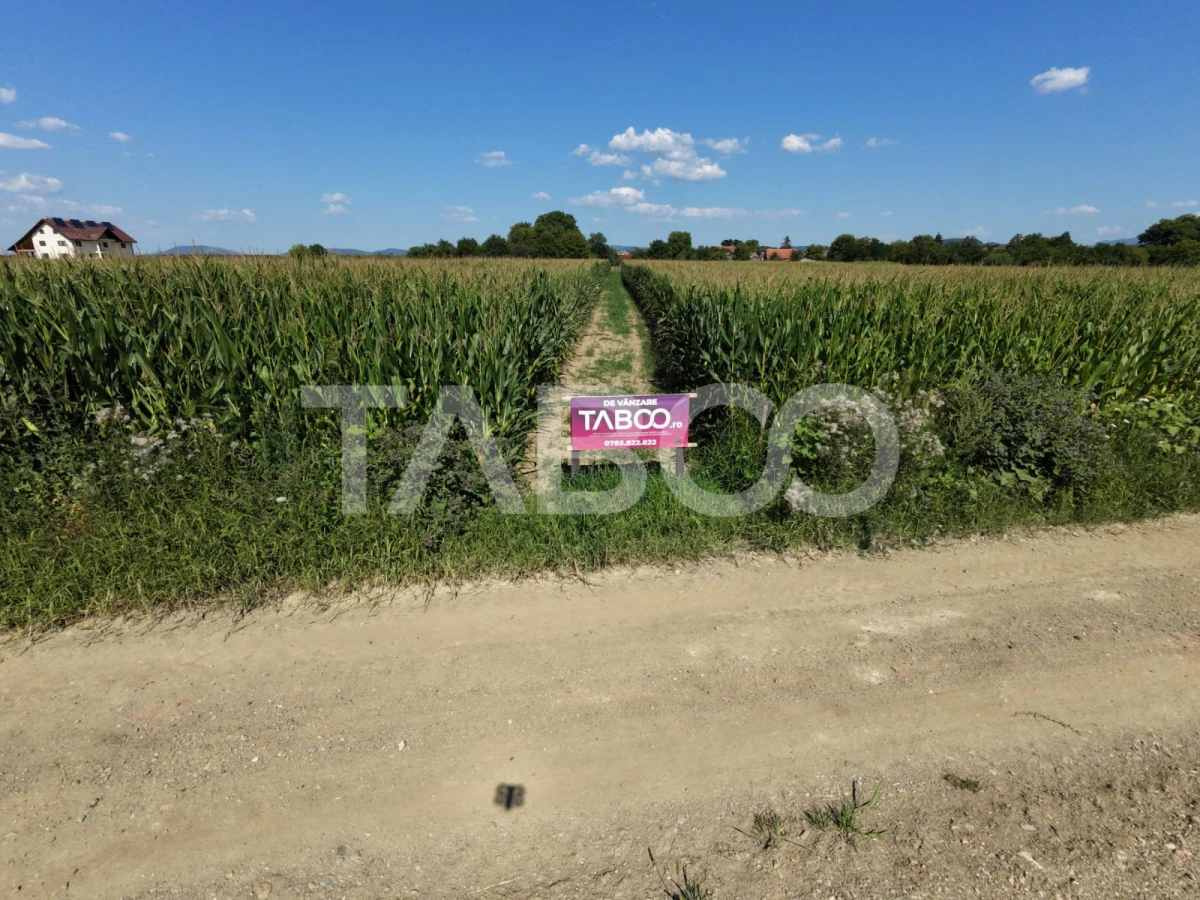 Teren intravilan 2000 mp si extravilan 1150 mp de vanzare in Vad - 4