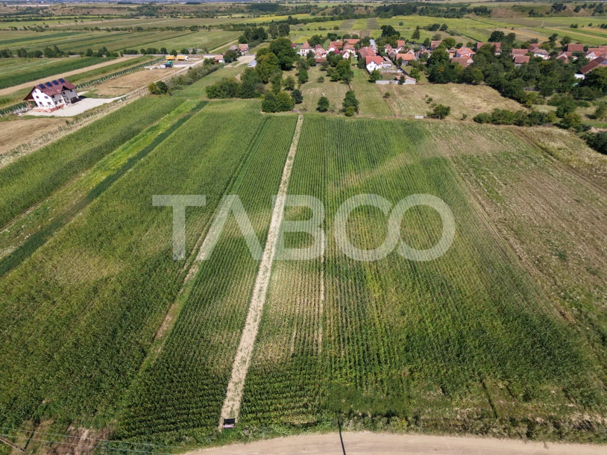 Teren intravilan 2000 mp si extravilan 1150 mp de vanzare in Vad - 3