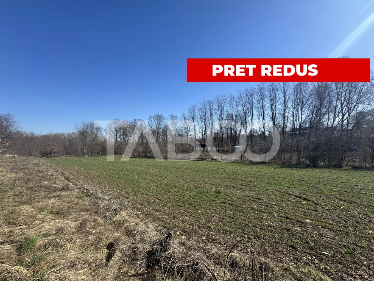 Teren intravilan 2000 mp cu utilitati in apropiere Comuna Dragus - 1
