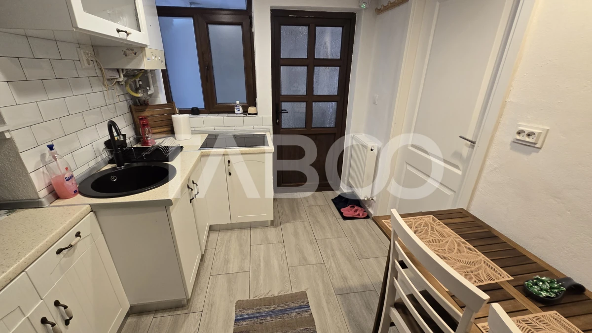 Apartament si garsoniera in regim hotelier de vanzare Orasul de Jos - 9