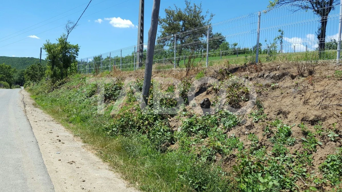 Teren 1974 mp intravilan de vanzare in Loman judetul Alba - 2