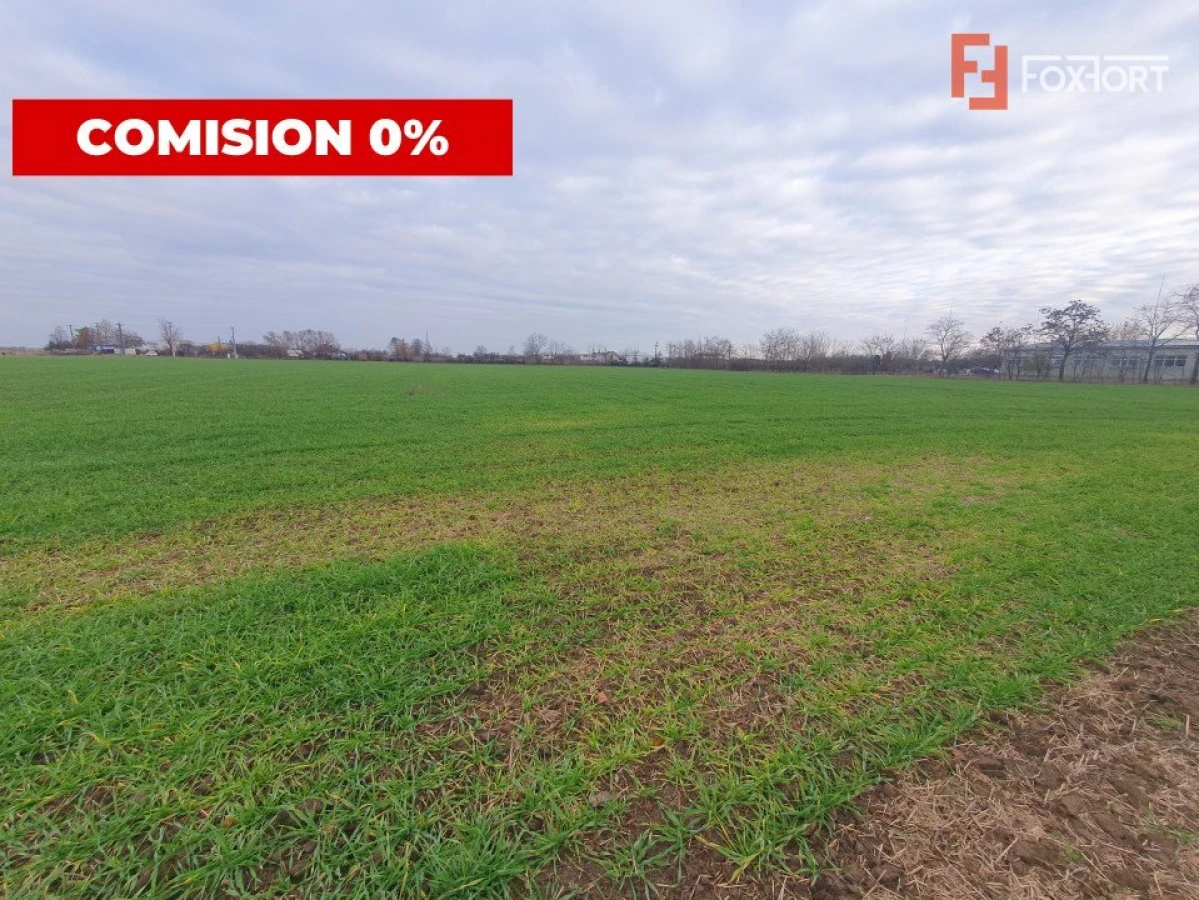 COMISION 0% Teren intravilan industrial 28.395 mp la sosea in Sag - 3