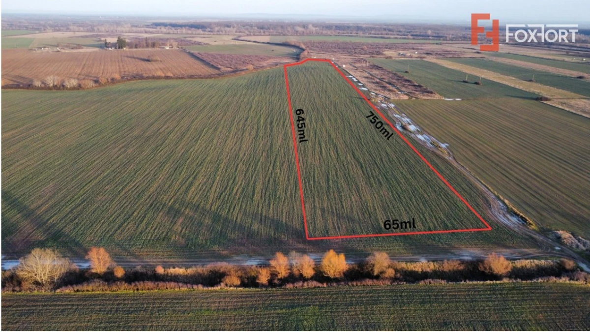 Teren extravilan arabil 50.890mp - aproape de centura Timisoara Sud - 1