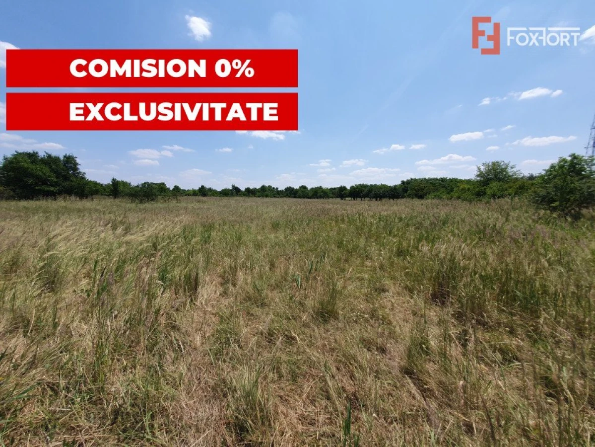 COMISION 0% Teren de vanzare intravilan de 5000 mp in zona Sagului - 10