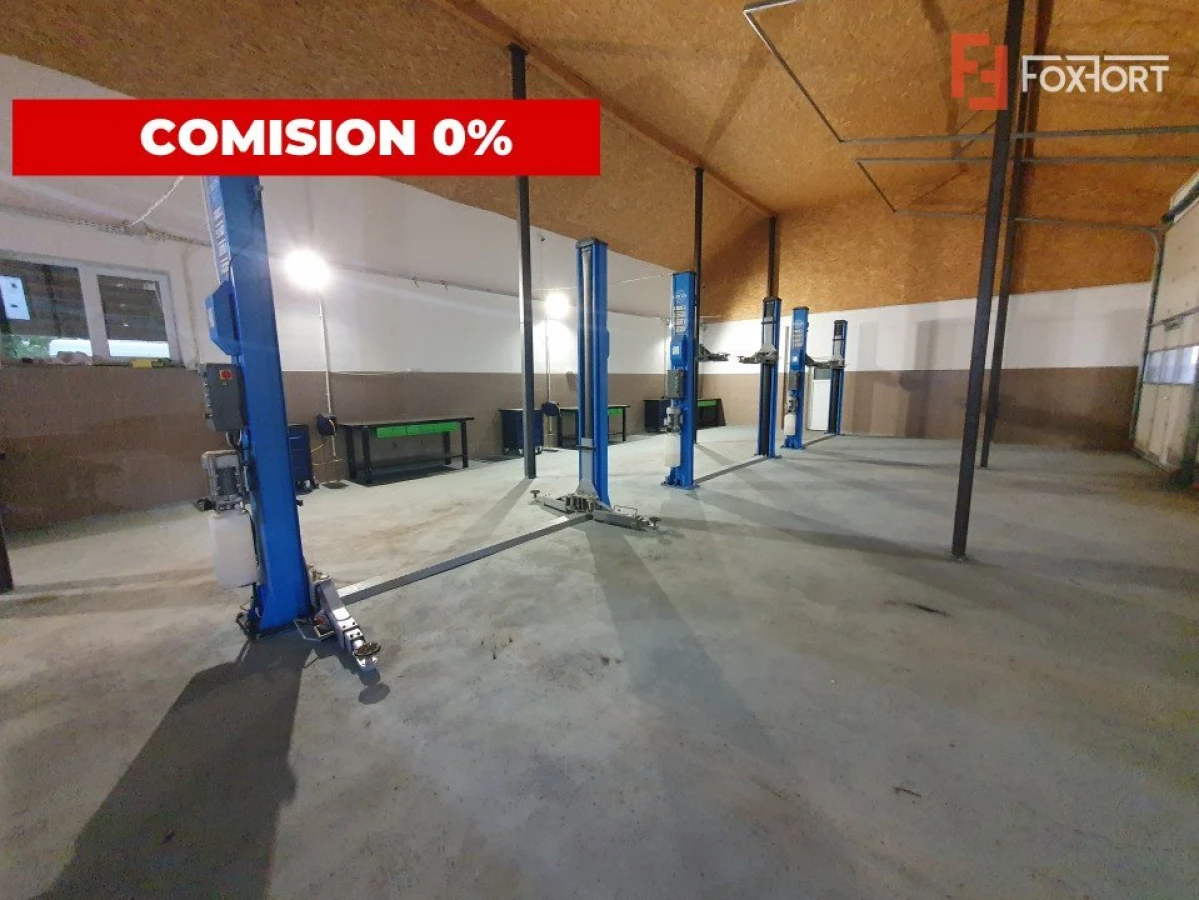 Comision 0% Afacere la cheie: service auto de inchiriat 246 mp utili, Sag - 5