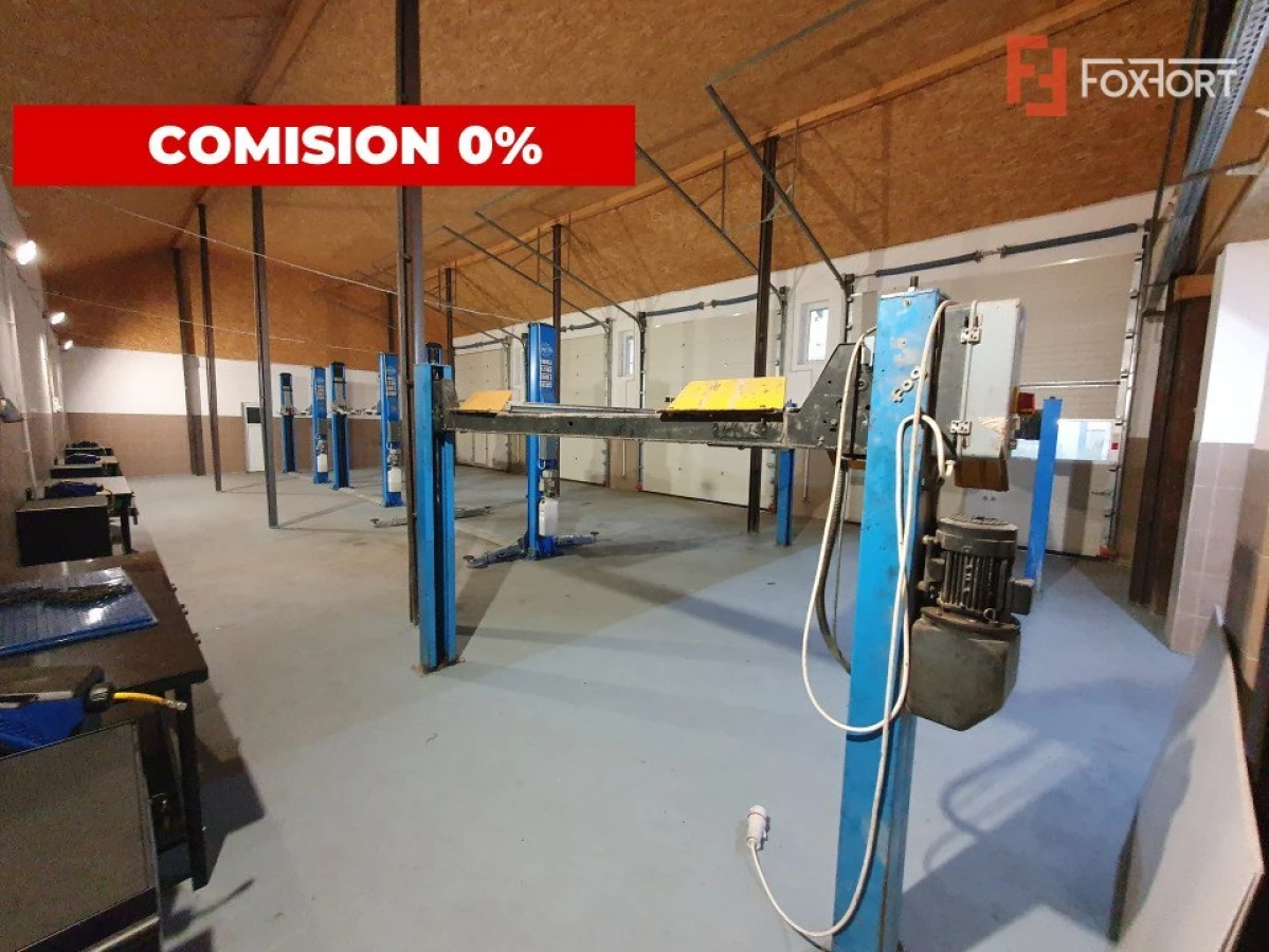 Comision 0% Afacere la cheie: service auto de inchiriat 246 mp utili, Sag - 4
