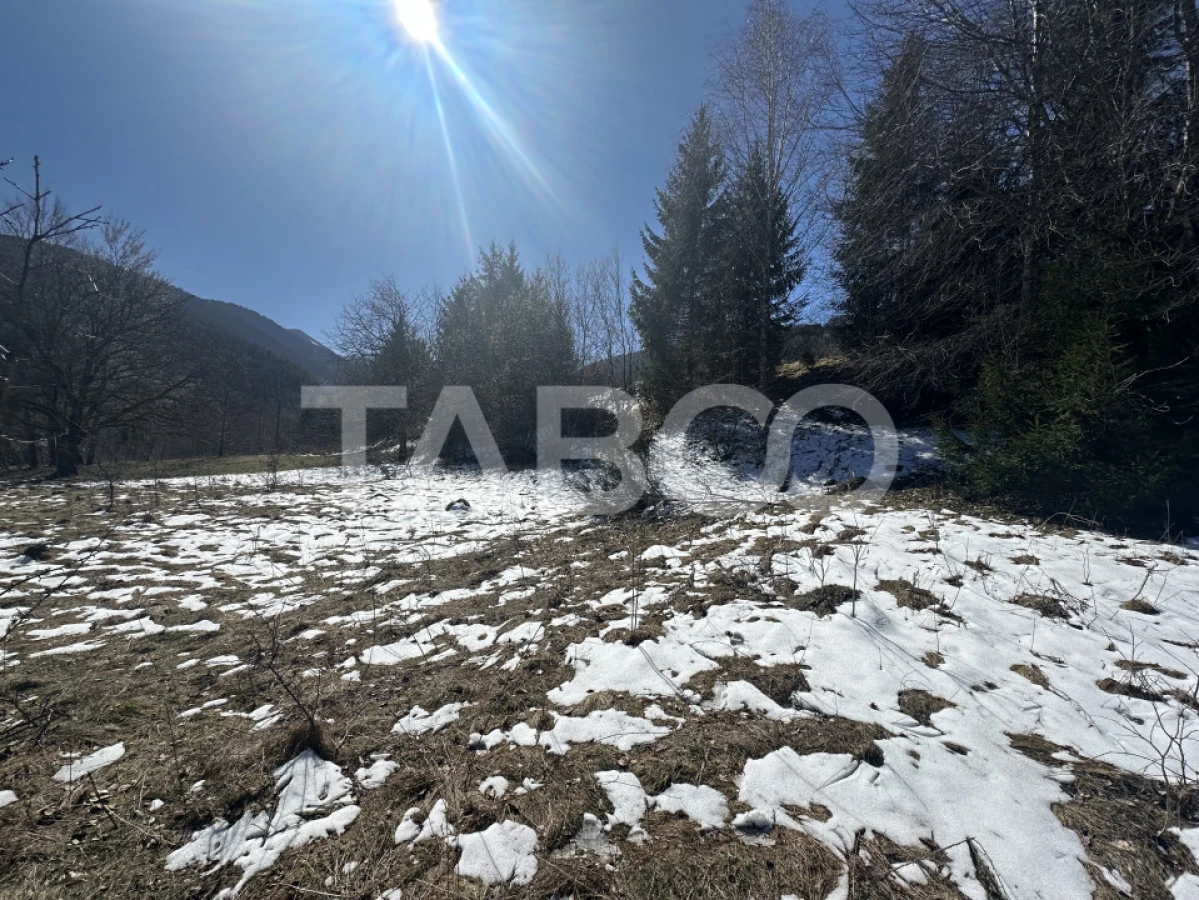 Teren extravilan 4600 mp cu acces la rau Satul de Vacanta Dejani - 3