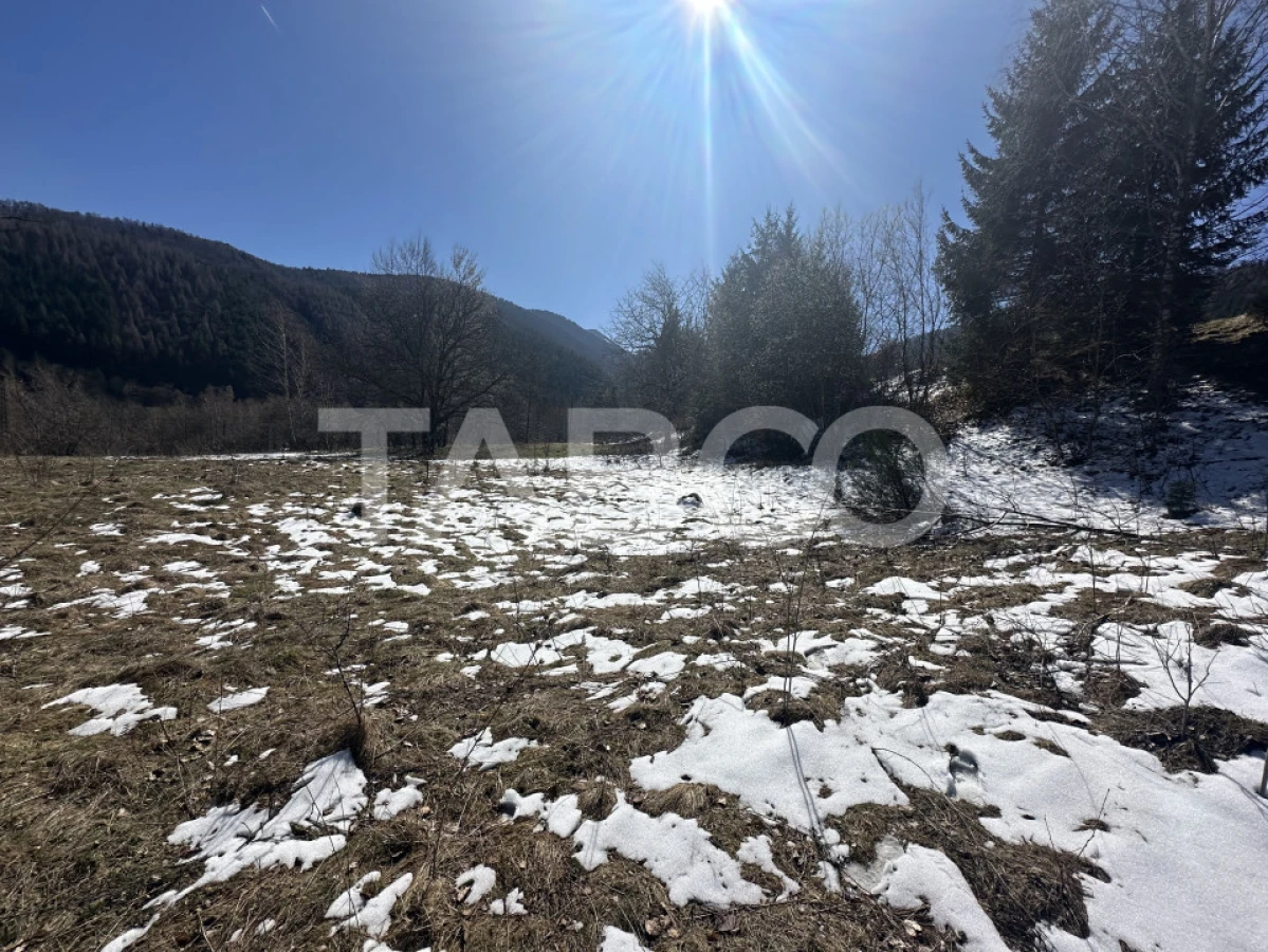 Teren extravilan 4600 mp cu acces la rau Satul de Vacanta Dejani - 2