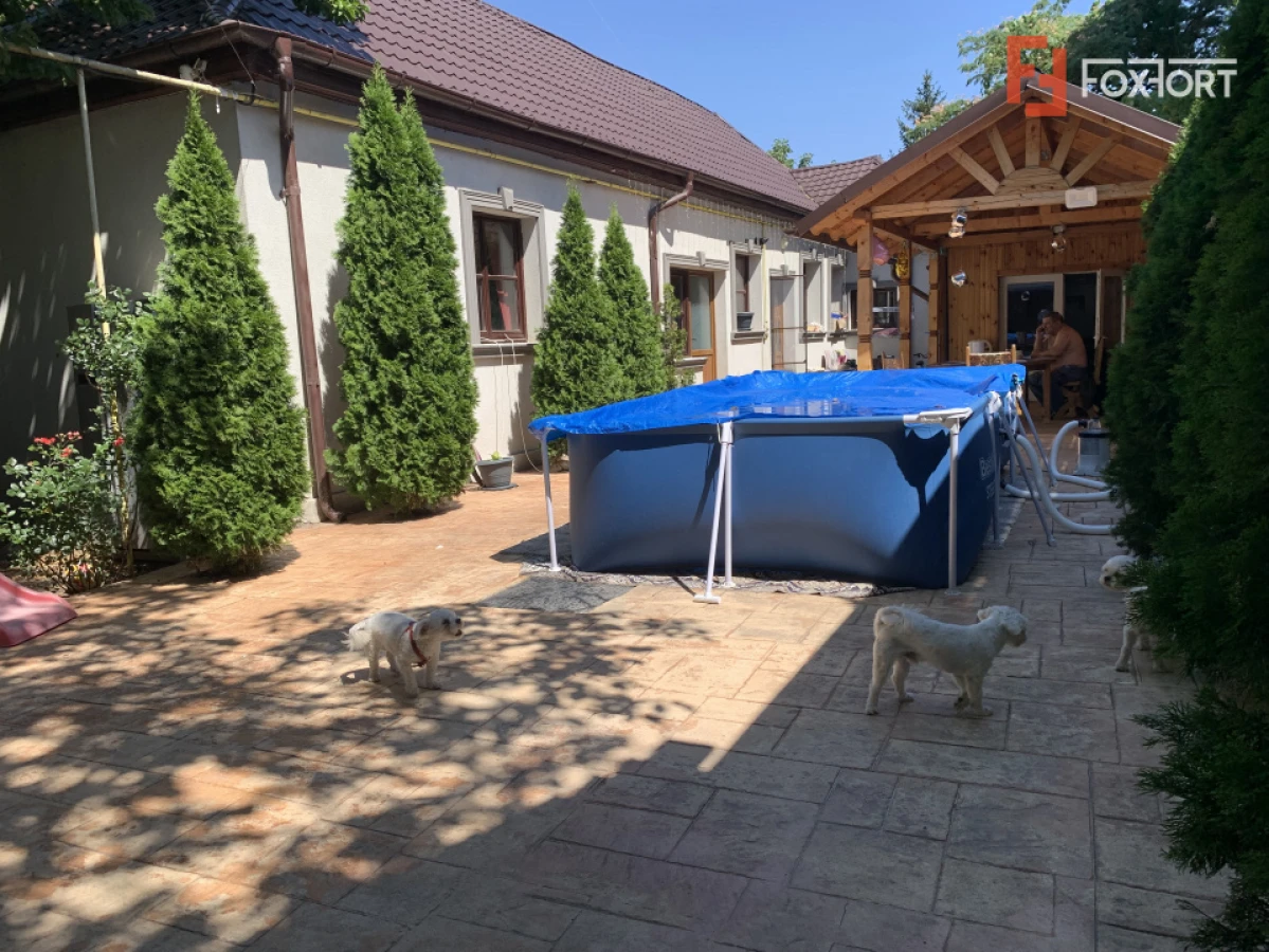 Casa individuala cu 6 camere, pretabil clinica - zona Aradului - 8