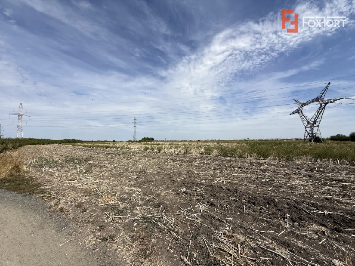 COMISION 0% Teren extravilan, 35.000 mp, pretabil hale industriale, Timisoara - 2