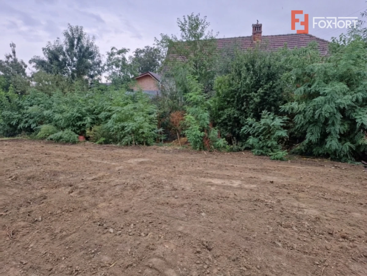 Duplex de vanzare cu 3 camere, localitate Izvin - 7