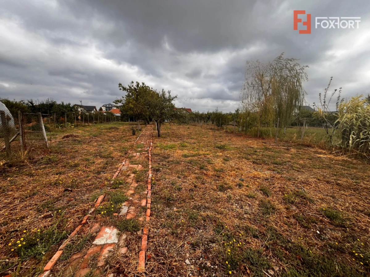 Casa cu teren de 1438 mp de vanzare - Recas - 10