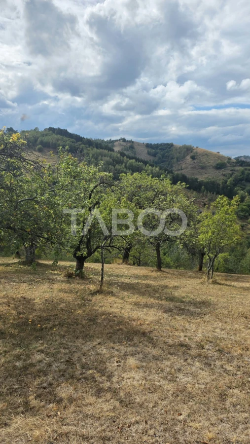 Teren de vanzare 8.300 mp Plesi Loman judetul Alba - 9
