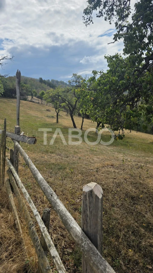 Teren de vanzare 8.300 mp Plesi Loman judetul Alba - 7