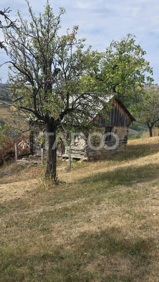 Teren de vanzare 8.300 mp Plesi Loman judetul Alba - 6