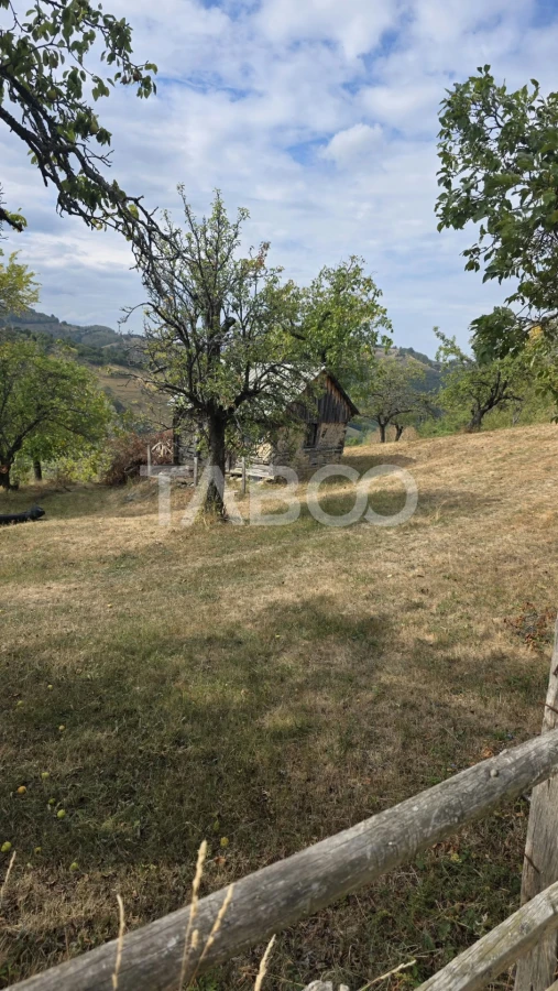 Teren de vanzare 8.300 mp Plesi Loman judetul Alba - 5
