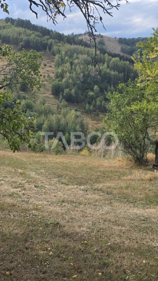 Teren de vanzare 8.300 mp Plesi Loman judetul Alba - 4