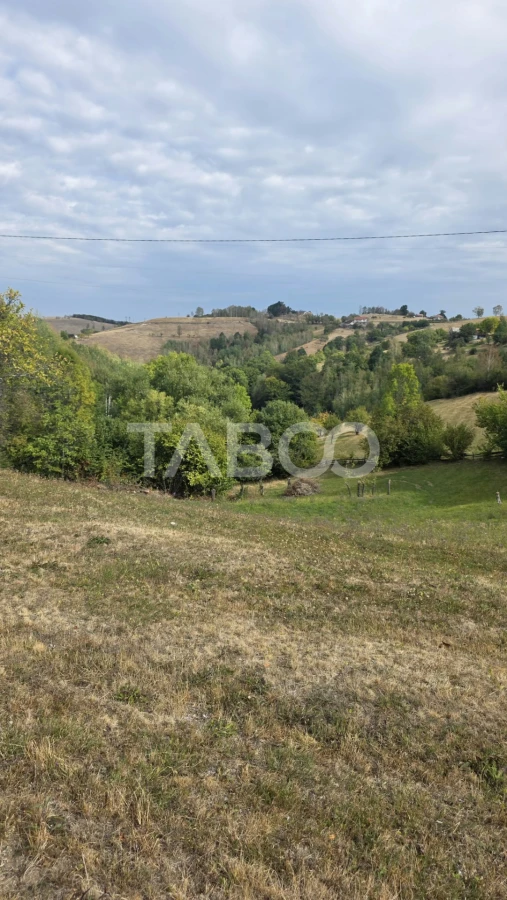 Teren de vanzare 8.300 mp Plesi Loman judetul Alba - 2