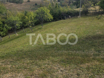 Teren de vanzare 8.300 mp Plesi Loman judetul Alba